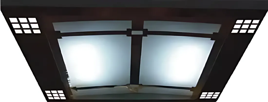 AS-T09 · Trần cabin khung đen, đèn LED